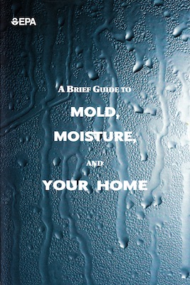 Mold, Moisture and Your Home